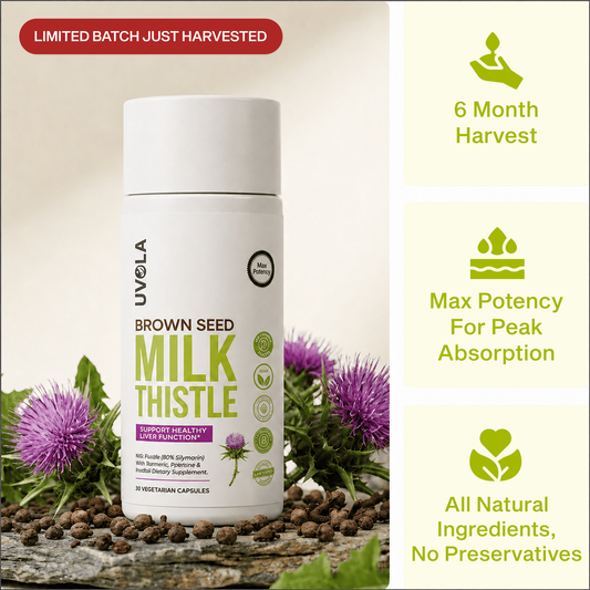 Uvola - Brown Seed Milk Thistle