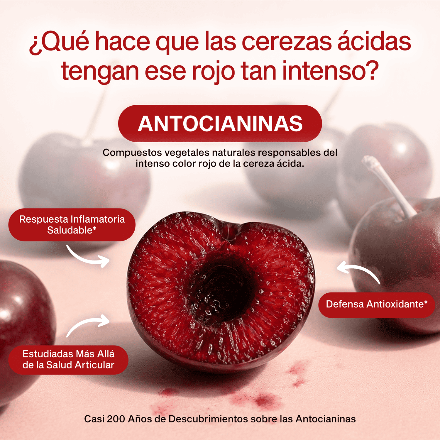 main-img
